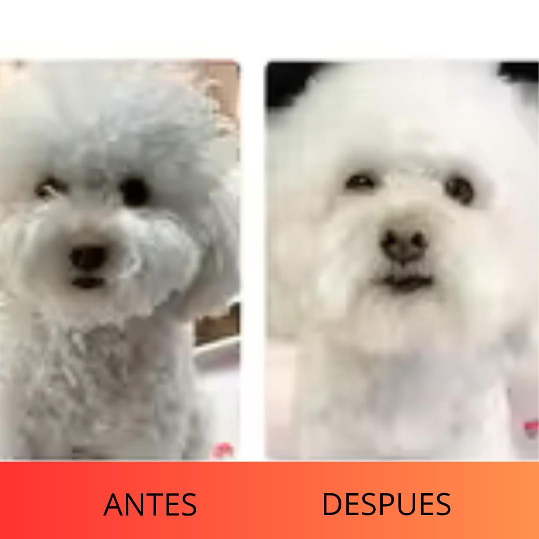 Cepillo Y Secador De Mascotas 2 En 1 PuffPet™